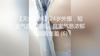 【无情的屌】24岁外围，短发气质小姐姐，良家气息浓郁，舔胸害羞 (6)