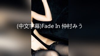 (中文字幕)Fade In 仲村みう