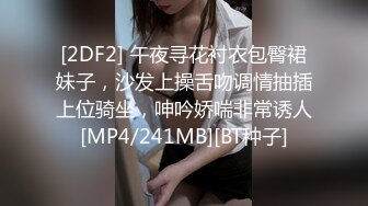 [2DF2] 午夜寻花衬衣包臀裙妹子，沙发上操舌吻调情抽插上位骑坐，呻吟娇喘非常诱人[MP4/241MB][BT种子]