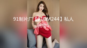 91制片厂【91CM244】私人玩物1