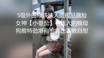 S级外围绿茶婊人造极品露脸女神【小番茄】有钱人的贱母狗推特劲爆自拍露出调教自慰啪啪