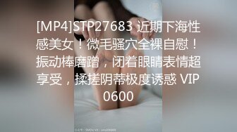 丸子兼职上门帮客人排精nn005