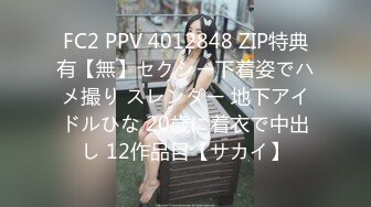 FC2 PPV 4012848 ZIP特典有【無】セクシー下着姿でハメ撮り スレンダー 地下アイドルひな 20歳に着衣で中出し 12作品目【サカイ】