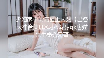 少妇家中偷情强上内射【出各大神合集EDC小郎君yqk唐猫先生秦夯呆哥