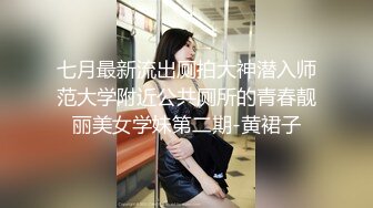 七月最新流出厕拍大神潜入师范大学附近公共厕所的青春靓丽美女学妹第二期-黄裙子