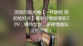 顶级约炮大神【一杆钢枪 我的枪好长】最新付费群更新20V，模特女友，多种情趣玩法好厉害！