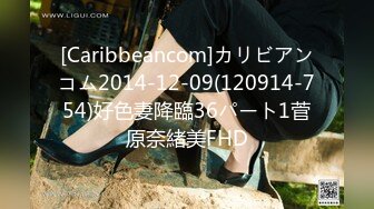 [Caribbeancom]カリビアンコム2014-12-09(120914-754)好色妻降臨36パート1菅原奈緒美FHD