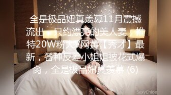 全是极品妞真羡慕11月震撼流出，只约漂亮的美人妻，推特20W粉大V网黄【秀才】最新，各种反差小姐姐被花式爆肏，全是极品妞真羡慕 (6)