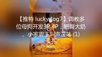 【推特 luckydog7】调教多位母狗开发3P 4P，肥臀大奶、小家碧玉叫声淫荡 (1)