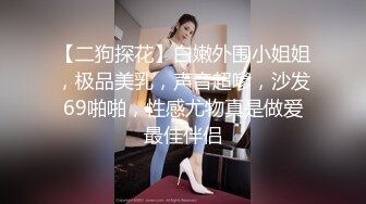 【二狗探花】白嫩外围小姐姐，极品美乳，声音超嗲，沙发69啪啪，性感尤物真是做爱最佳伴侣