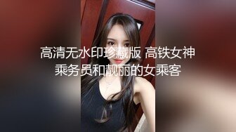 高清无水印珍藏版 高铁女神乘务员和靓丽的女乘客