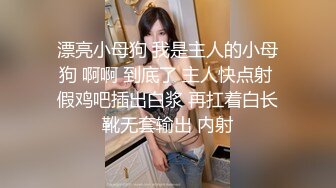 人妻就職活動～恥辱のセクハラ面接～ 成宮いろは