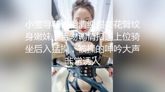 小宝寻花长相清纯甜美花臂纹身嫩妹，舌吻调情扣逼上位骑坐后入猛操，被操的呻吟大声非常诱人