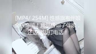 爆乳极品空姐制服诱惑美腿温柔