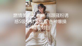 燃情美少女 新作 高跟骚粉诱惑S级身材完整版 各种爆操 精彩对白