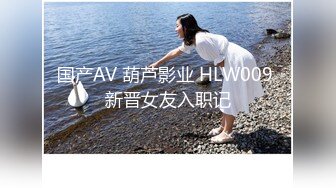 国产AV 葫芦影业 HLW009 新晋女友入职记