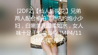 [2DF2]【仙人斩探花】兄弟两人配合偷拍，酒店约炮小少妇，白嫩美乳温柔如水，女人味十足干起来最爽 [MP4/112MB][BT种子]