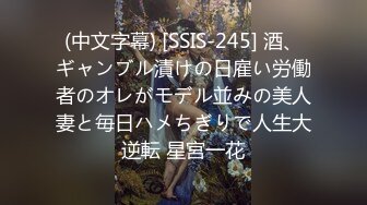 (中文字幕) [SSIS-245] 酒、ギャンブル漬けの日雇い労働者のオレがモデル並みの美人妻と毎日ハメちぎりで人生大逆転 星宮一花