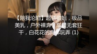 【陪我沦陷】超骚欲姐，极品美乳，户外裸奔，车震无套狂干，白花花的肉体玩弄 (1)