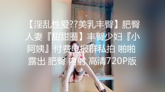 【淫乱性爱??美乳丰臀】肥臀人妻『甜甜圈】丰臀少妇『小阿姨』付费电报群私拍 啪啪 露出 肥臀 内射 高清720P版