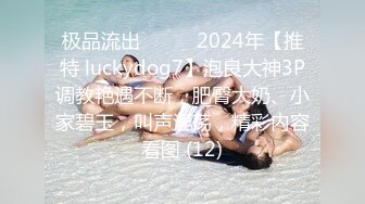 极品流出❤️❤️2024年【推特 luckydog7】泡良大神3P调教艳遇不断，肥臀大奶、小家碧玉，叫声淫荡，精彩内容看图 (12)