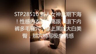 STP28510 新人女神近期下海！性感内衣美腿高跟！退下内裤多毛骚穴，穿上黑丝大白美臀，掰穴特写极度诱惑