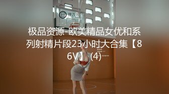 极品资源-欧美精品女优和系列射精片段23小时大合集【86V】 (4)