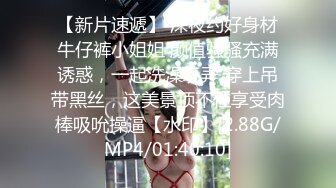 鲍长女长腿的!