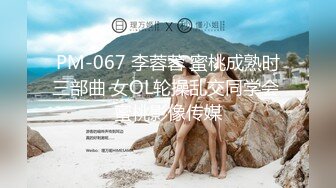 PM-067 李蓉蓉 蜜桃成熟时三部曲 女OL轮操乱交同学会 蜜桃影像传媒