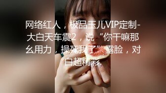 网络红人，极品玉儿VIP定制-大白天车震2，说“你干嘛那幺用力，操死我了”露脸，对白超精彩.