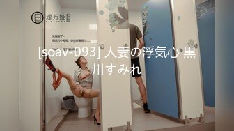 [soav-093] 人妻の浮気心 黒川すみれ