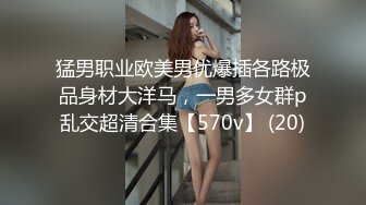 猛男职业欧美男优爆插各路极品身材大洋马，一男多女群p乱交超清合集【570v】 (20)