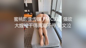 蜜桃影像传媒 PMC312 强欲大嫂被干得高潮不停 吴文泣