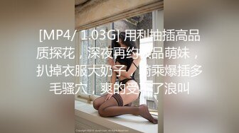 XSJKY-053 苡若 富豪霸气买下出租车操爆女乘客 性视界传媒