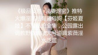 《极品反差✿淫妻泄密》推特火爆淫荡翘臀骚母狗【芬姬夏妓】不雅私拍全集，公园露出调教野战潮喷大号道具紫薇淫水泛滥