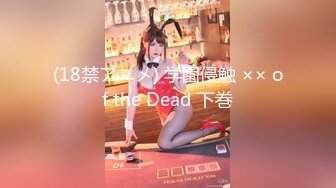 (18禁アニメ) 学園侵触 ×× of the Dead 下巻