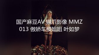 国产麻豆AV 猫爪影像 MMZ013 傲娇车模姐姐 叶如梦