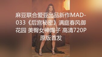 麻豆联合爱豆出品新作MAD-033《后宫秘密》满庭春风御花园 美臀女神陶子 高清720P原版首发