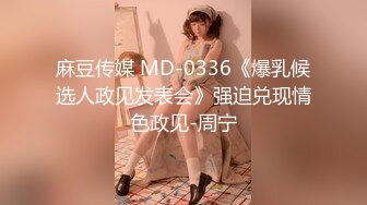 麻豆传媒 MD-0336《爆乳候选人政见发表会》强迫兑现情色政见-周宁