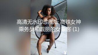 高清无水印珍藏版 高铁女神乘务员和靓丽的女乘客 (1)