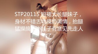 STP20115 短裙大长腿妹子，身材不错舌吻摸奶调情，抬腿猛操搞一半妹子有意见先走人了