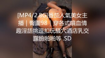 国产麻豆AV 蜜桃影像传媒 PMD001 EP3 东京爱情故事3 辉月杏梨