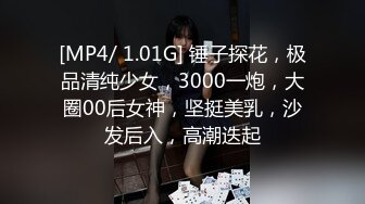 [MP4/ 1.01G] 锤子探花，极品清纯少女，3000一炮，大圈00后女神，坚挺美乳，沙发后入，高潮迭起