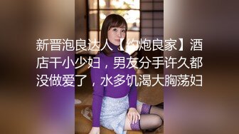 国产麻豆AV MD MD0227 色欲女导游 米亚