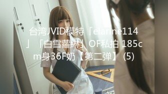 台湾JVID模特「elarine114」「白雪蘿綝」OF私拍 185cm身36F奶【第二弹】 (5)