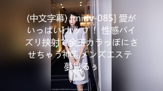 90后少妇欢迎来日2