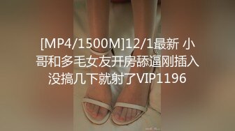 [MP4/1500M]12/1最新 小哥和多毛女友开房舔逼刚插入没搞几下就射了VIP1196