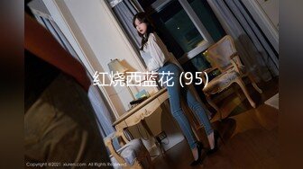 红烧西蓝花 (95)