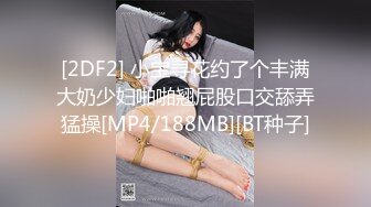 [2DF2] 小宝寻花约了个丰满大奶少妇啪啪翘屁股口交舔弄猛操[MP4/188MB][BT种子]