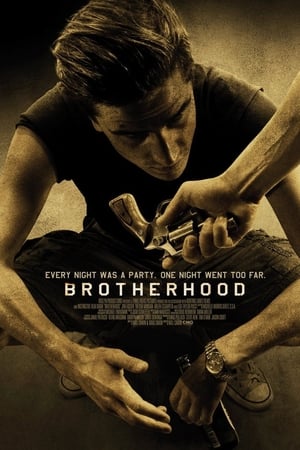Brotherhood (2010) Hindi Dual Audio – 480p
